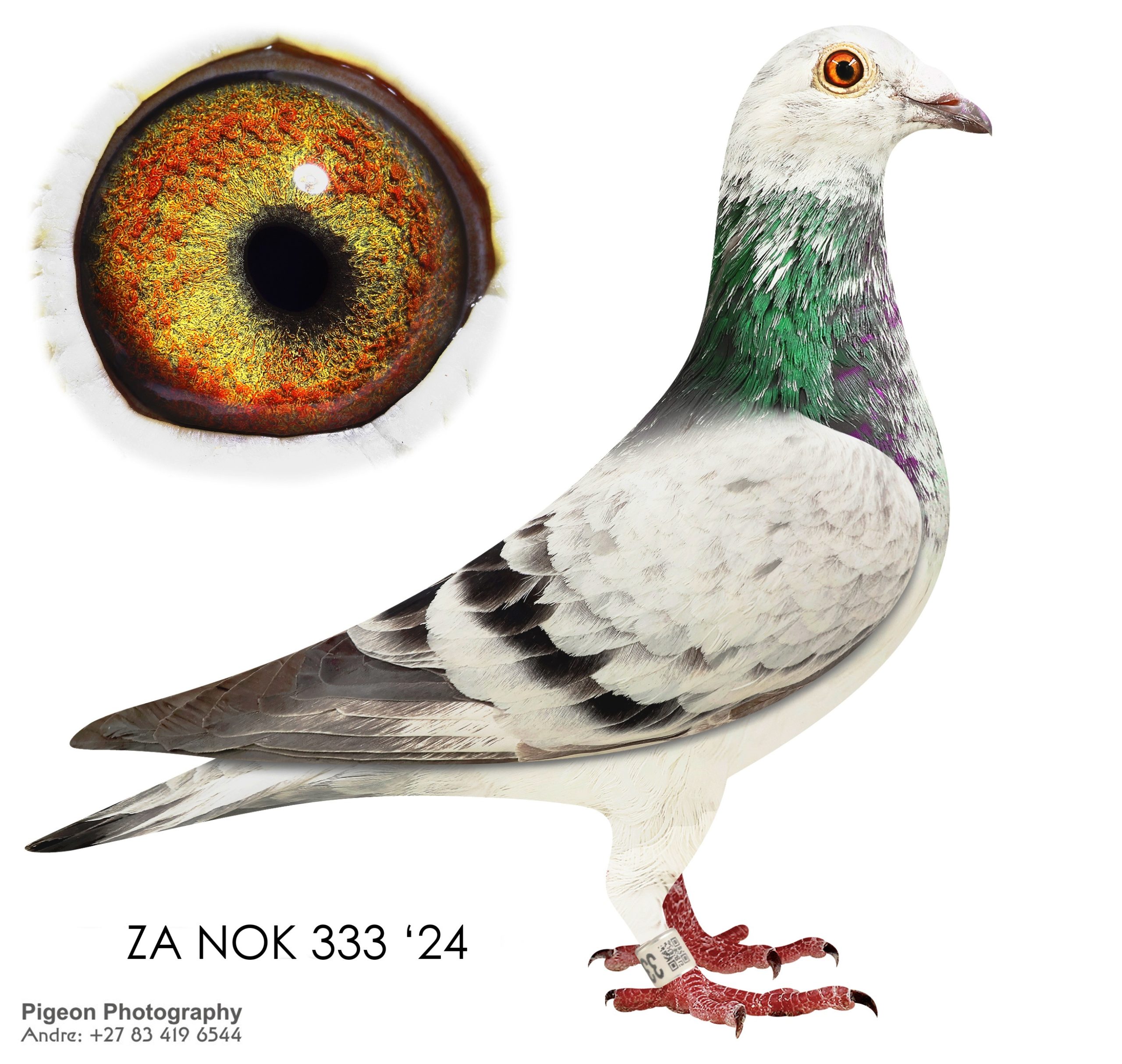 ZA NOK 333 24n