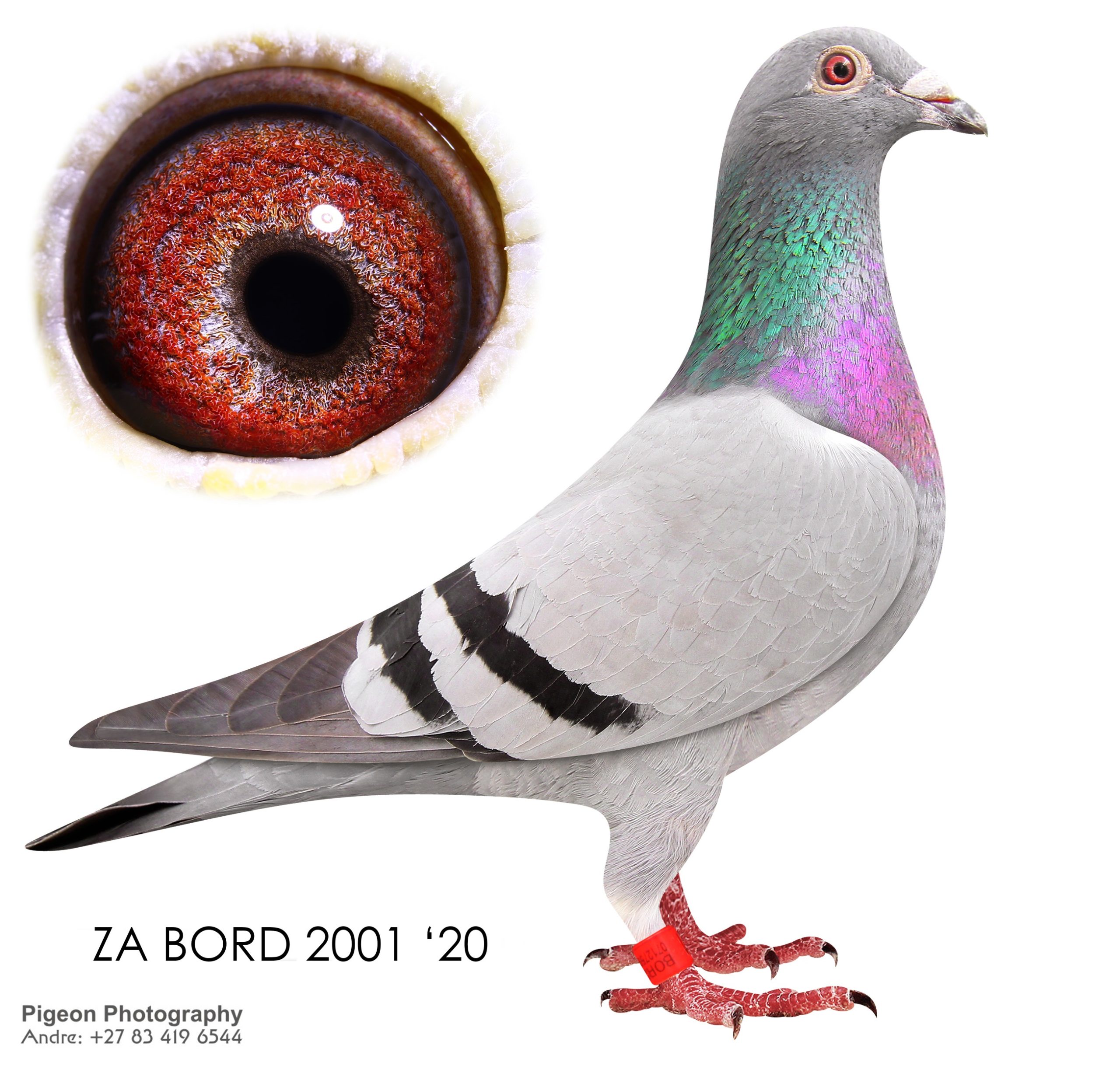 ZA BORD 2001 20