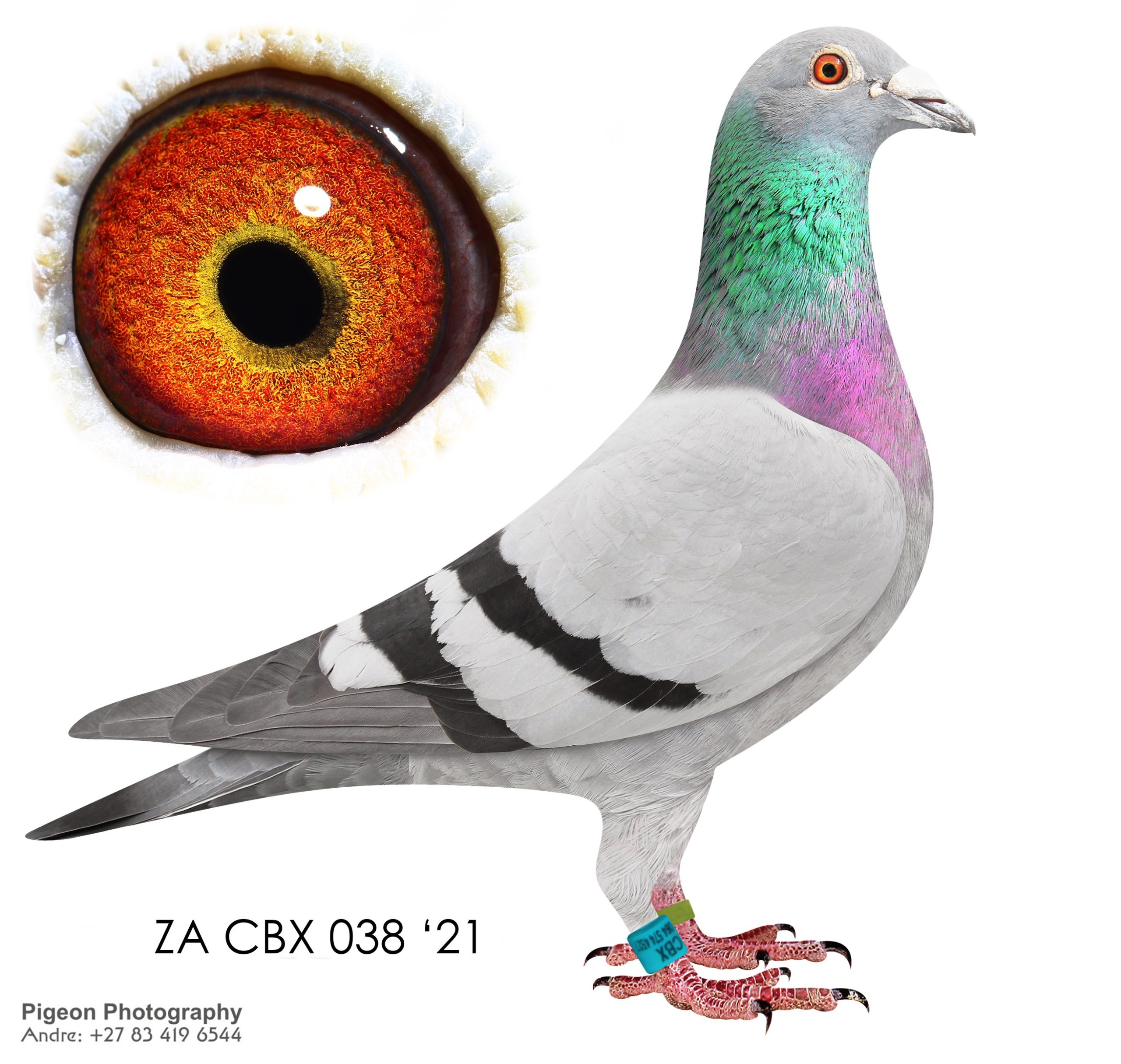 ZA CBX 038 21