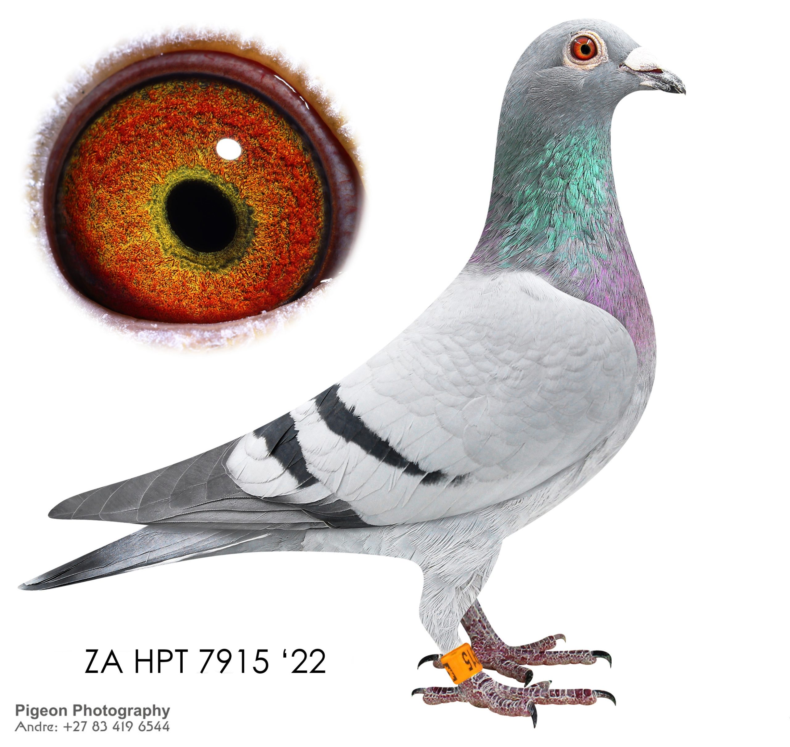 ZA HPT 7915 22